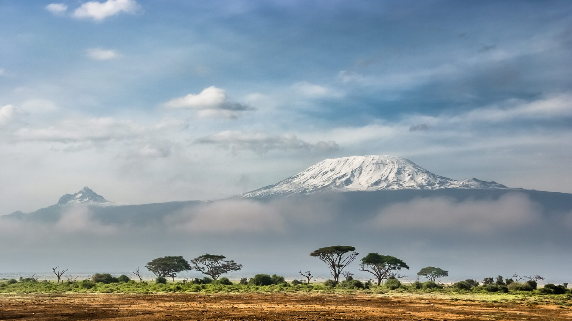 Green Future Farming Africa